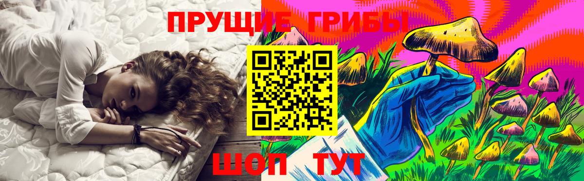 Углич  Псилоцибиновые грибы MAGIC MUSHROOMS  сколько стоит  Вход с VPN 