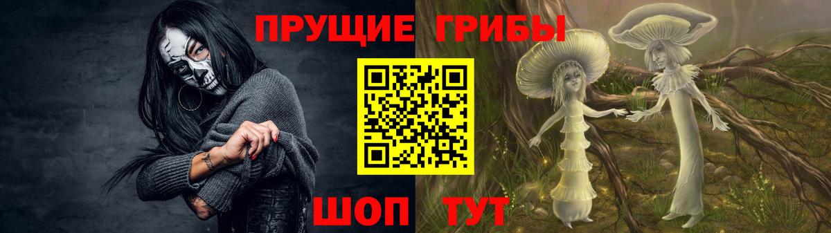 Псилоцибиновые грибы MAGIC MUSHROOMS Углич