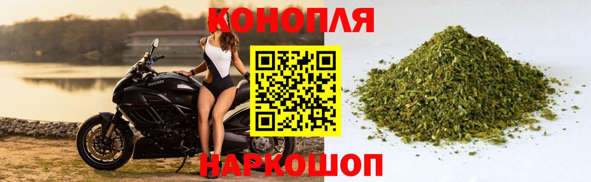 Канабис SATIVA & INDICA Углич